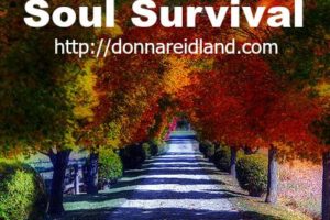 Daily Bible & Journal Giveaway