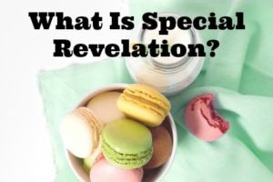 Bite Sized Theology: What Is Special Revelation? - Today we're going to talk briefly about the two ways that God reveals Himself to mankind: General and Special Revelation. Then we'll focus on Special Revelation as it relates to the Bible.