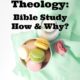 Bite Sized Theology: “Bible Study – How & Why?”