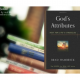 God’s Attributes: Rest for Life’s Struggles | A Review