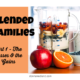 Blended Families Part 1: “The Losses and the Gains”
