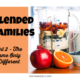 Blended Families Part 2: The Same Only Different
