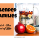 Blended Families Part 4: The  Goal of Life