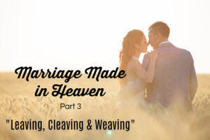 Bride and groom holding hands and walking through a wheat field with text that reads, Marriage: Made in Heaven?" Part 3 - Leaving, Cleaving & Weaving.
