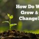 “How Do We Grow & Change?”