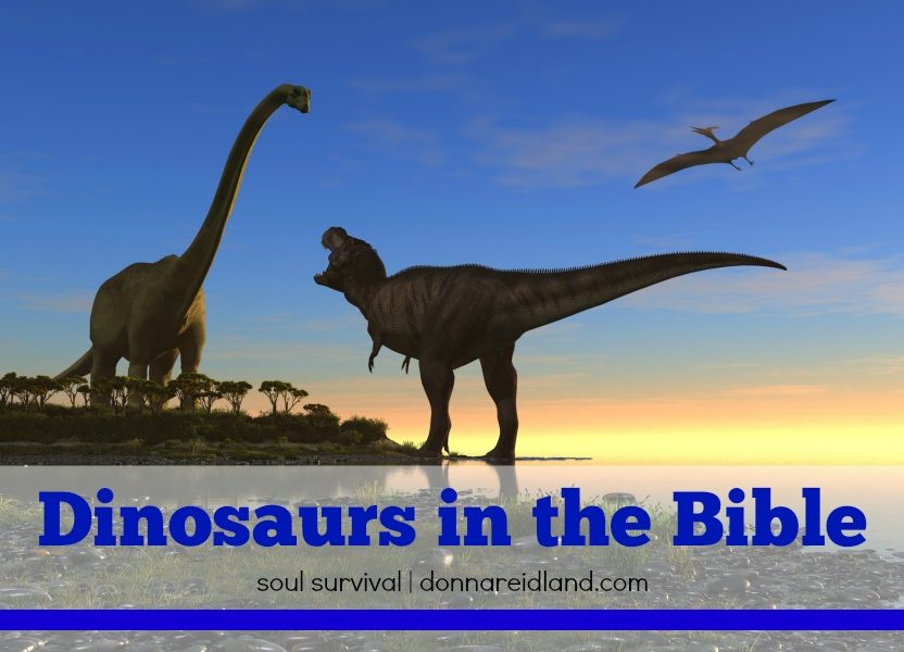 dinosaurs in the bible job 40