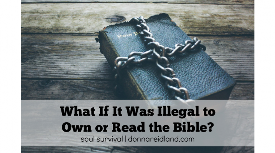 what-if-it-was-illegal-to-read-the-bible-july-23-soul-survival