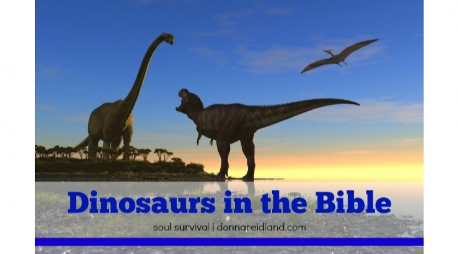 dinosaurs in the bible job 40