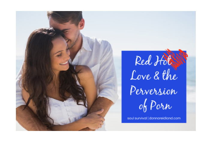 Perverse Porn Wife - Red Hot Love & the Perversion of Porn\