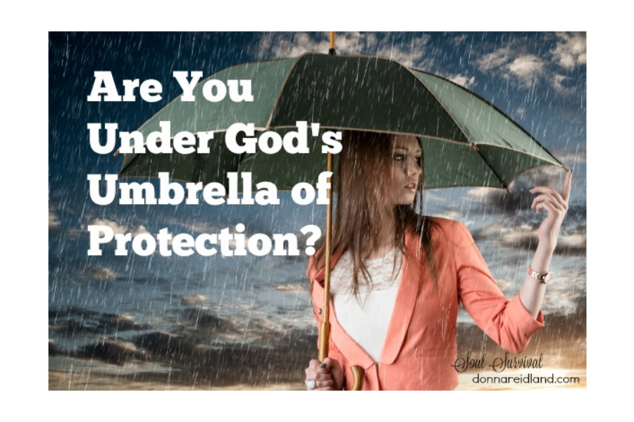 Are You Under God S Umbrella Of Protection October 28 Soul