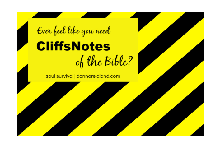 "CliffsNotes for the Bible?" February 4 Soul Survival