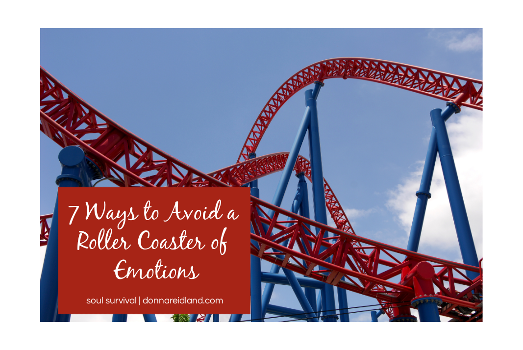 "7 Ways to Avoid a Roller Coaster of Emotions" August 19 Soul Survival