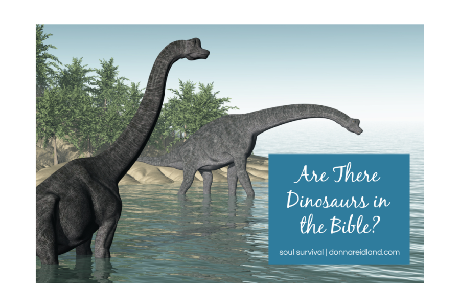 dinosaurs in the bible job 40