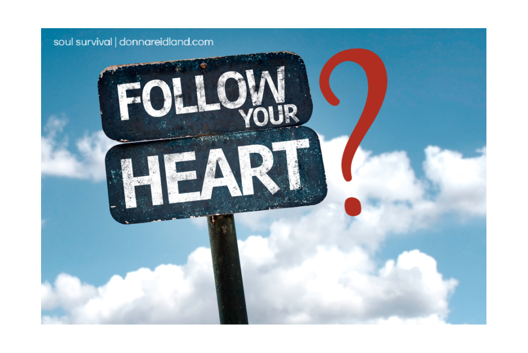 should-you-follow-your-heart-october-14-soul-survival