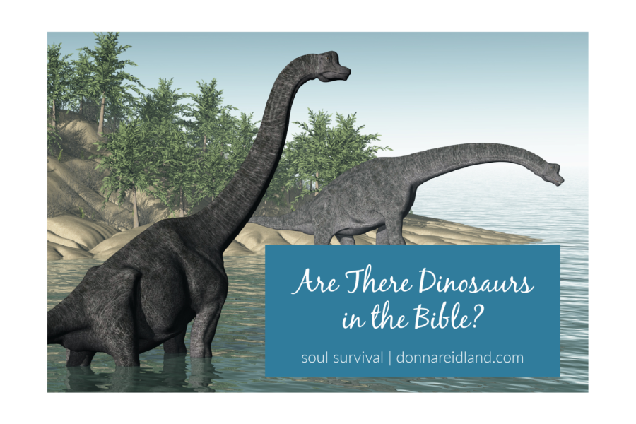 dinosaurs in the bible job