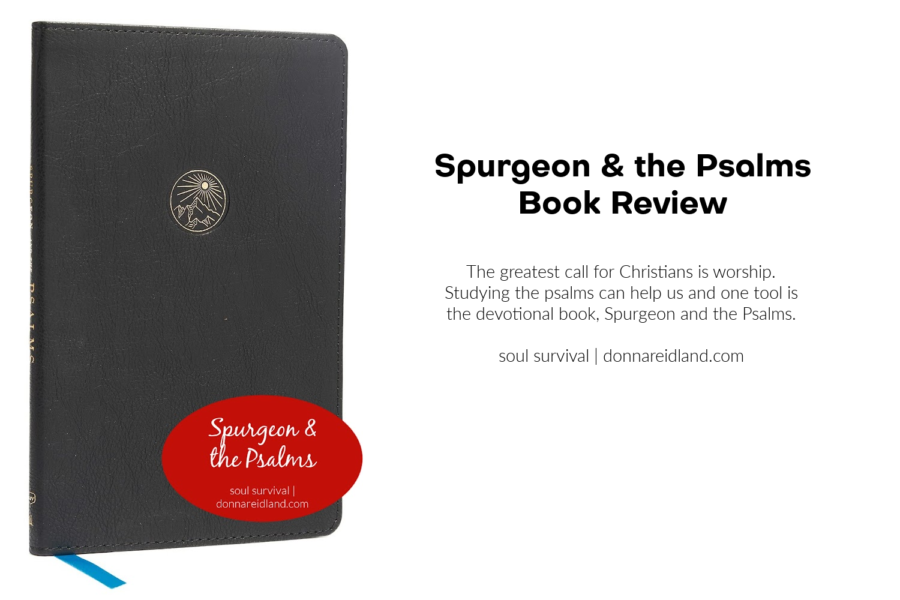 copy of Spurgeon & the Psalms