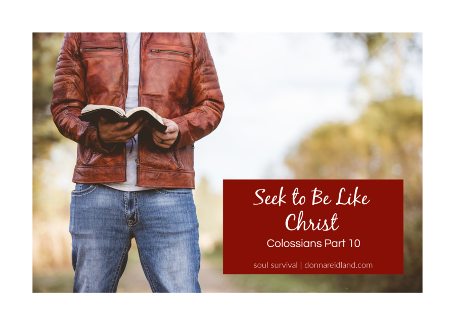 Colossians Part 10 | Seek to Be Like Christ