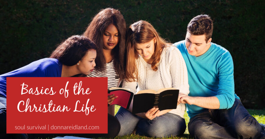 Group of young people studying the Bible together with text that reads, Basics of the Christian Life.