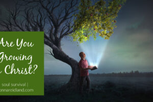 Man with an open bible looking up into a leafy green tree with text that reads, Are You Growing in Christ?