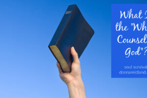 Man's hand holding a bible up against a blue sky with text that reads, What Is the "Whole Counsel of God"?
