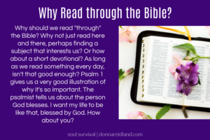 Open Bible with orchids on a purple background with text that reads, Why Read through the Bible?