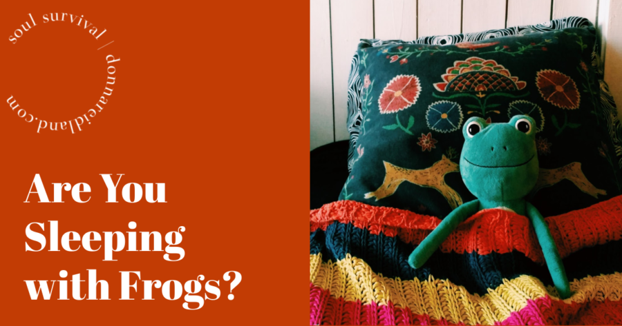 Stuffed frog propped up on pillows and covered with a blanket in bed with text that reads, Are You Sleeping with Frogs?