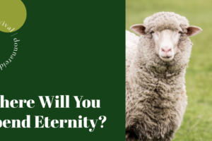 One lone sheep against a grassy background with text that reads, Where Will You Spend Eternity?