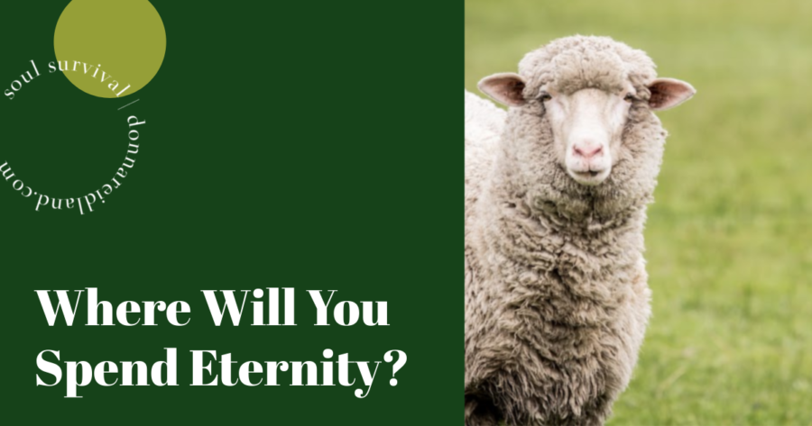 One lone sheep against a grassy background with text that reads, Where Will You Spend Eternity?