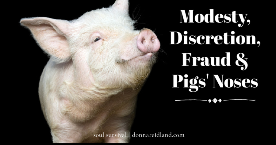 Cute pig against a black background with text that reads, Modesty, Discretion, Fraud & Pig's Noses.
