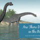 “Are There Dinosaurs in the Bible?” August 24