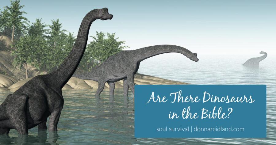 Two dinosaurs with text, Are There Dinosaurs in the Bible?