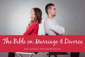 Angry couple with their backs to one another with text that reads, The Bible on Marriage & Divorce.