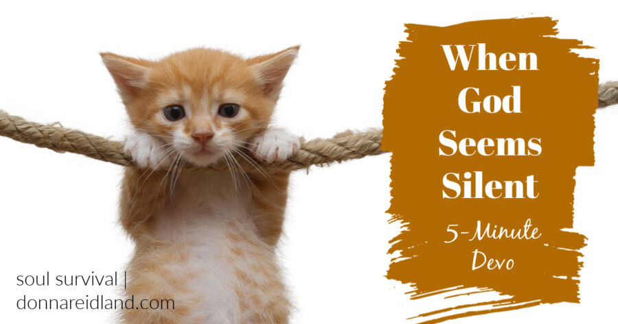 Ginger-colored kitten hanging on to a rope with text that reads, When God Seems Silent | 5-Minute Devo
