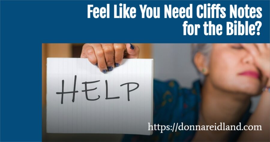 Woman holding up a help sign with text that reads, Feel Like You Need CliffsNotes for the Bible?
