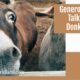 “Generosity & Talking Donkeys” March 12