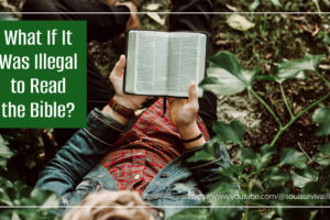 Woman hiding in a wooded area reading a bible with text that reads, What If It Was Illegal to Read the Bible?