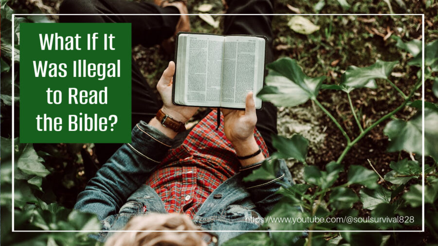 Woman hiding in a wooded area reading a bible with text that reads, What If It Was Illegal to Read the Bible?