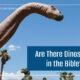 “Are There Dinosaurs in the Bible?” August 24