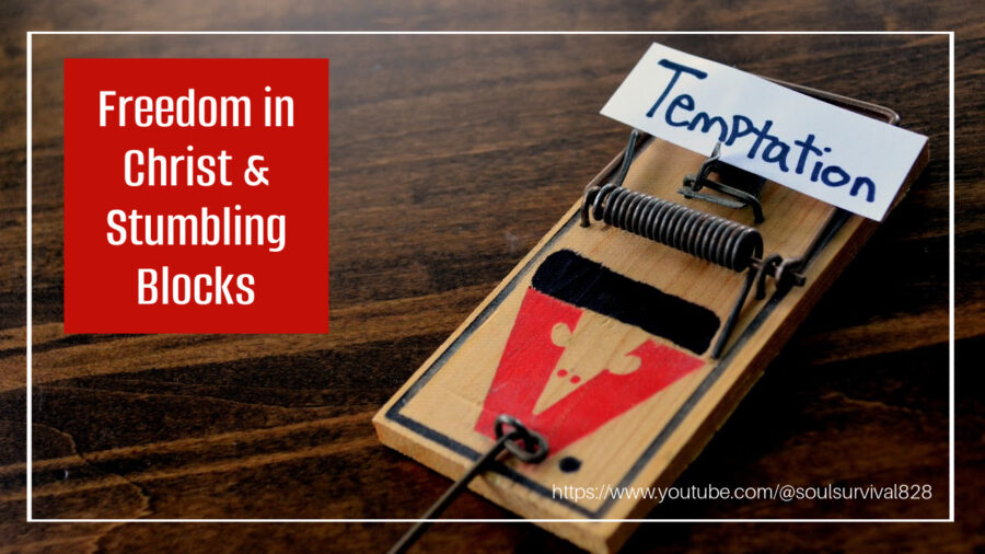 Mousetrap with the word temptation as the bait with text that reads, Freedom in Christ & Stumbling Blocks