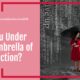 “Are You Under God’s Umbrella of Protection?” October 28