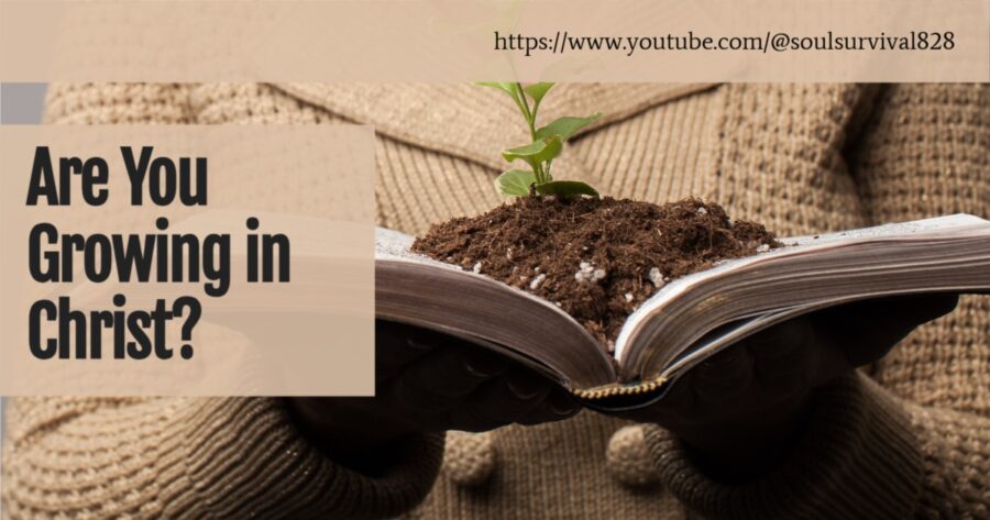 Smiling woman with and open bible and a growing plant with text that reads, Are You Growing in Christ?