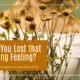 “Have You Lost That Loving Feeling?” December 12