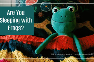 Stuffed frog propped up on pillows and covered with a blanket in bed with text that reads, Are You Sleeping with Frogs?