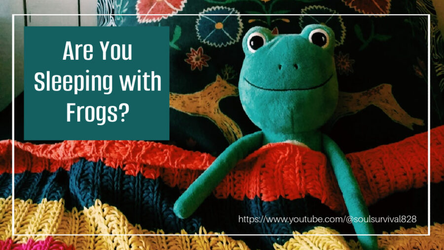 Stuffed frog propped up on pillows and covered with a blanket in bed with text that reads, Are You Sleeping with Frogs?