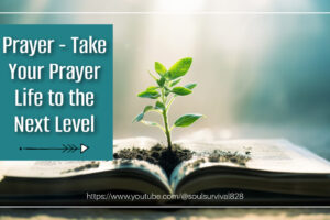 Discipleship Lessons