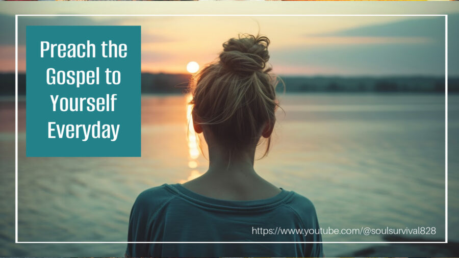 Woman with her hair in a bun looking out over a lake at sunset with text that reads, Preach the Gospel to Yourself Everyday