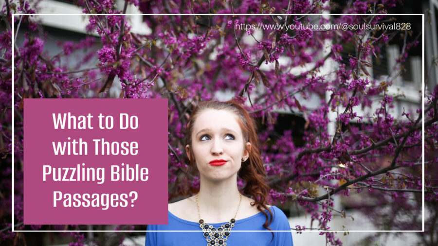 Confused young woman with text that reads, What to Do with Those Puzzling Bible Passages?