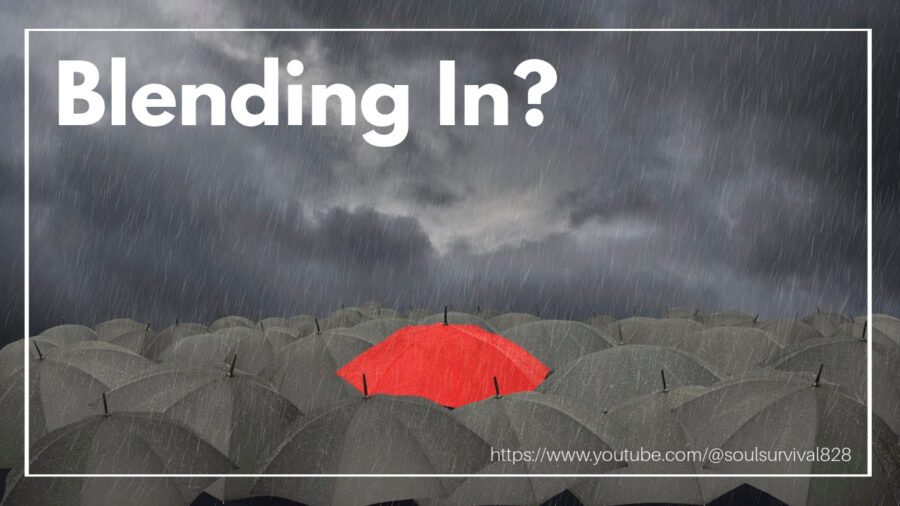 Red umbrella in a sea of gray ones