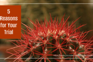 Cactus with sharp thorns and text that reads, 5 Reasons for Your Trial