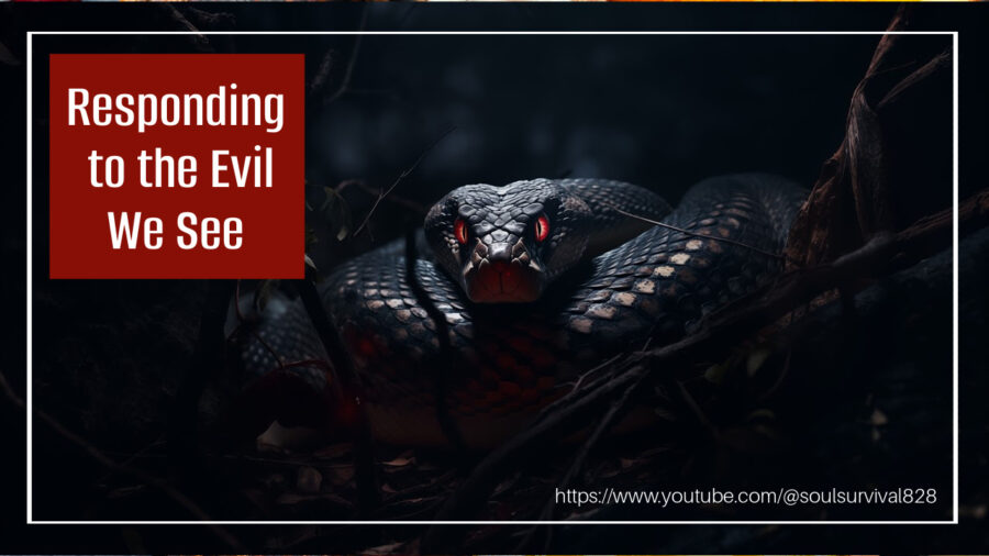 Serpent with red eyes against a black background with text that reads, Responding to the Evil We See